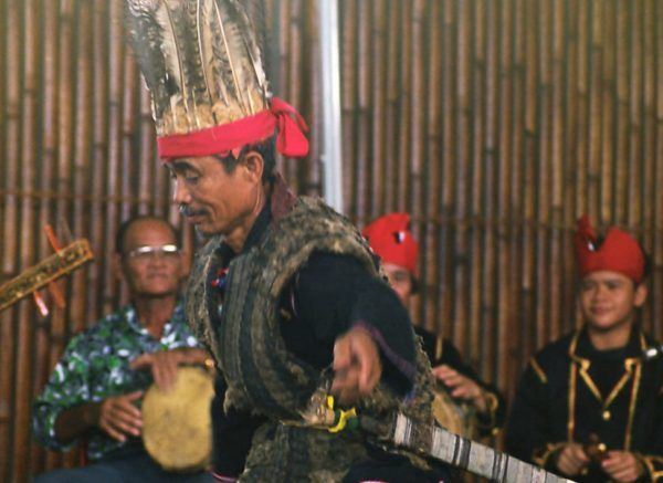 Harvest-Adau-Gayoh