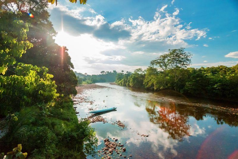 Of-Winding-Rivers-and-Pristine-Rainforest-1