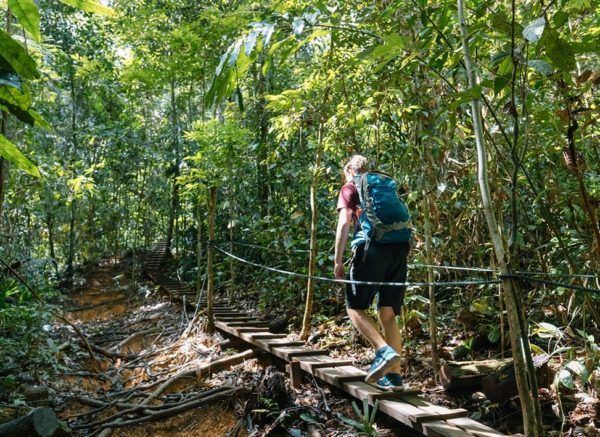 Ulu-Temburong-National-Park