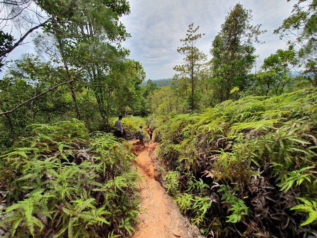 The 3 Best Hiking Trails of Brunei