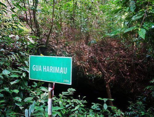 Explore Undiscovered Caves of Brunei