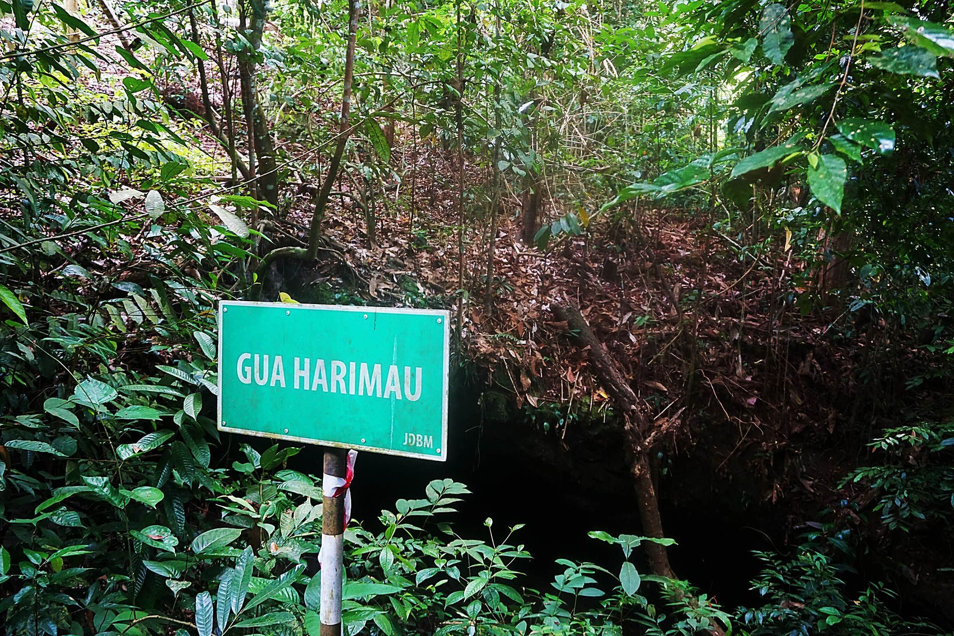 Brunei caves