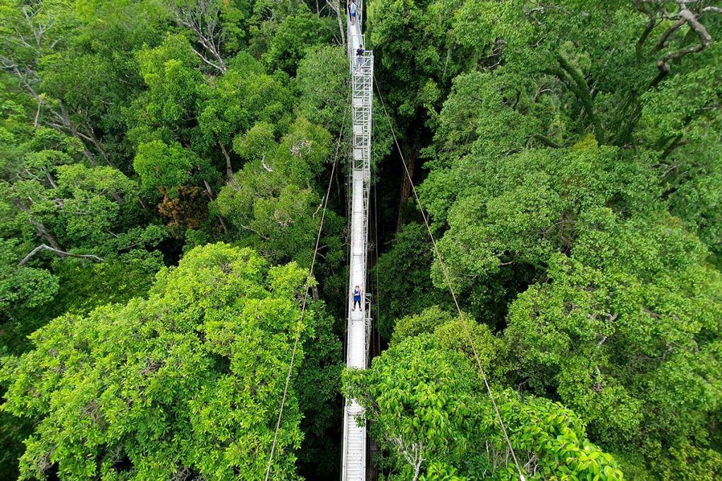 5 Adrenaline Pumping Activities at Ulu Temburong National Park