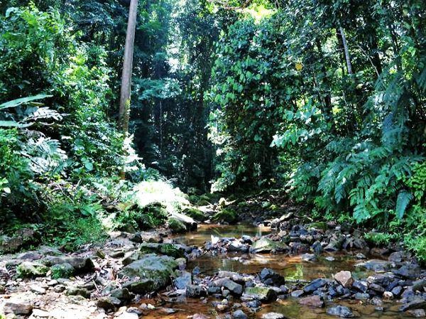 Labi Brunei Labi Brunei