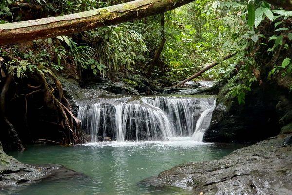 Mutong Waterfalls and Resident Doctor Fish