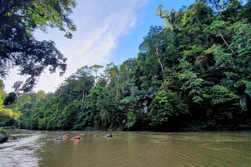 Temburong 2020