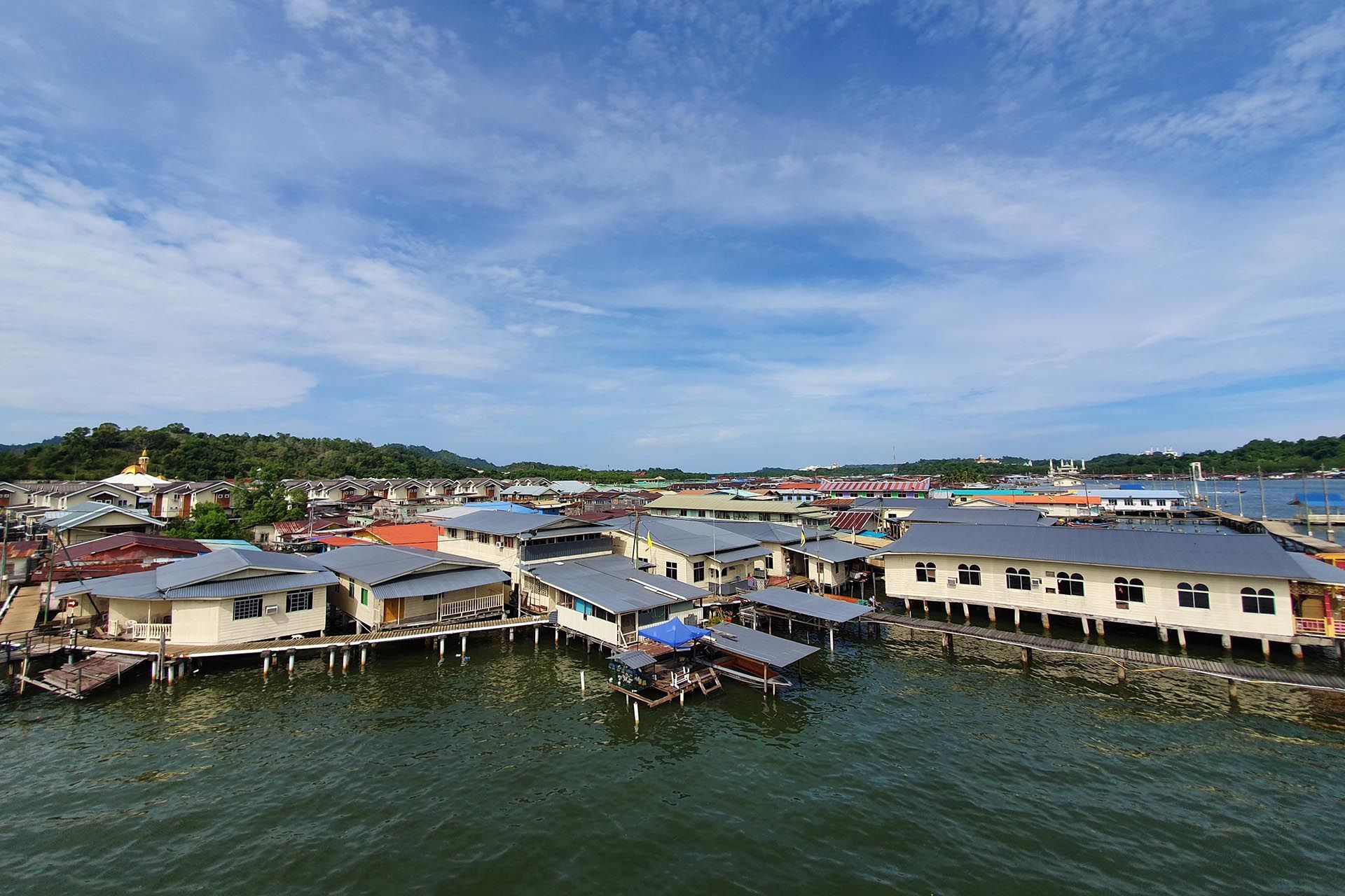 Venice of the East and Mangrove Tour