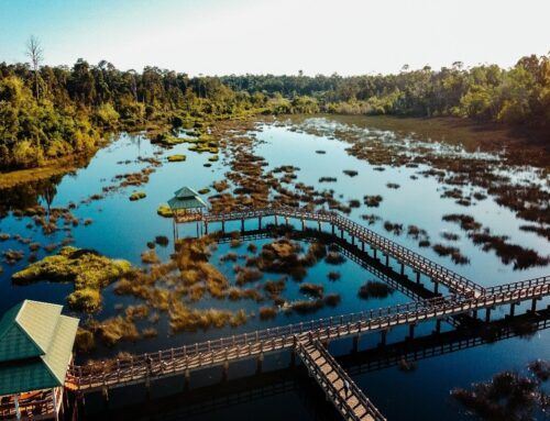 Luagan Lalak Forest Recreation Park