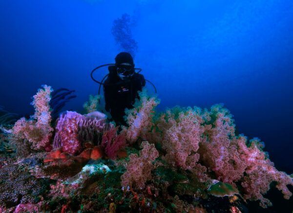 Aquatic-Coastal